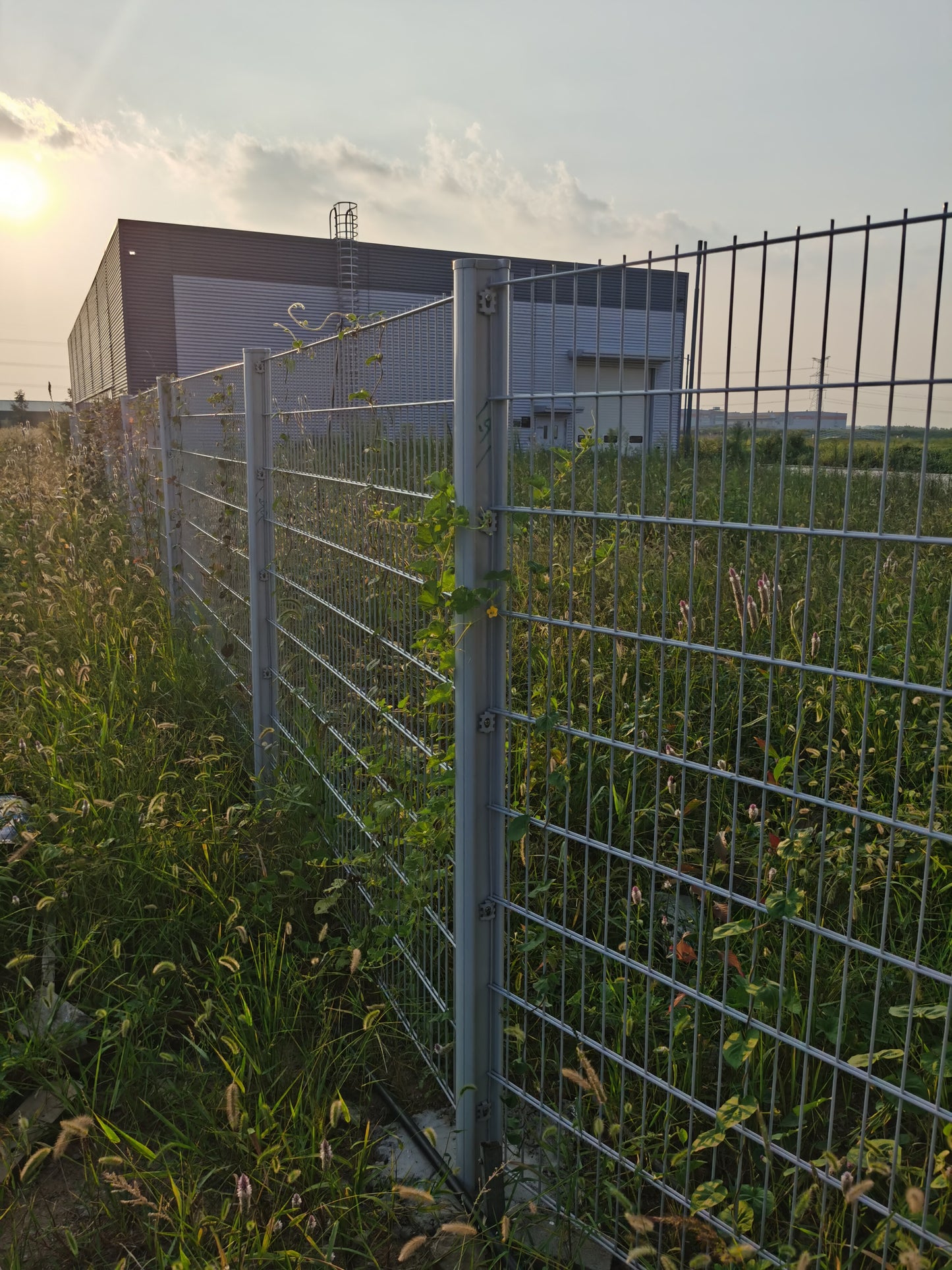 Double Wire Fence - "H" Shaped Post