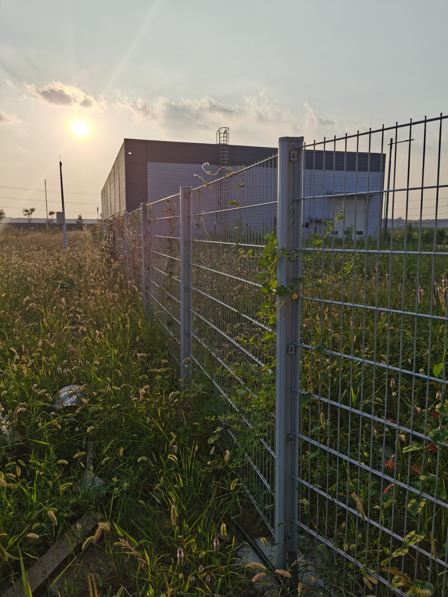 Double Wire Fence - "H" Shaped Post