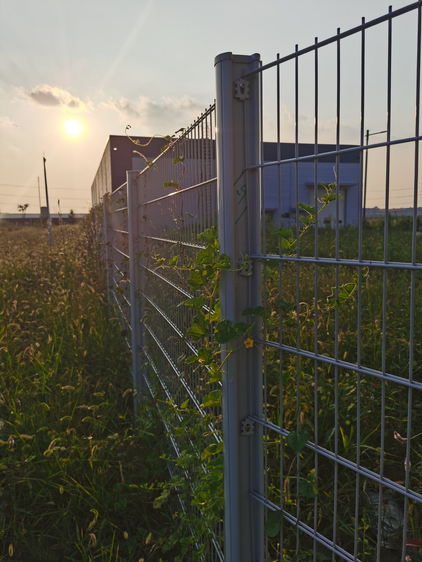 Double Wire Fence - "H" Shaped Post