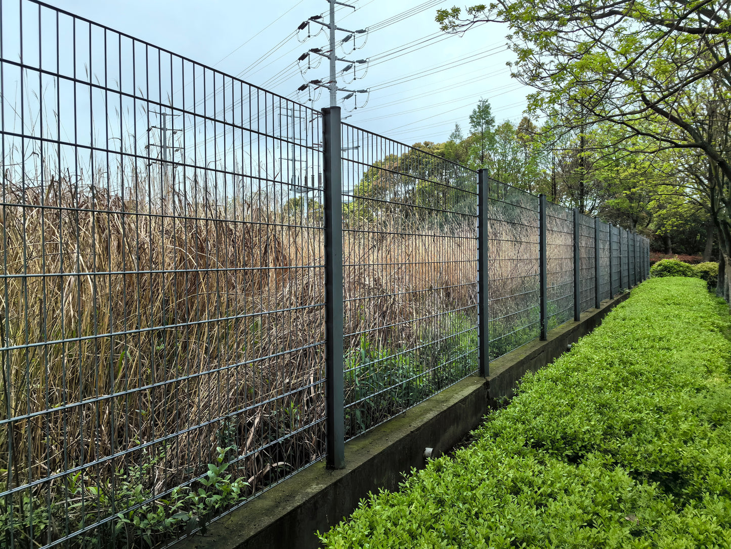 Double Wire Fence - Peach Shaped Post