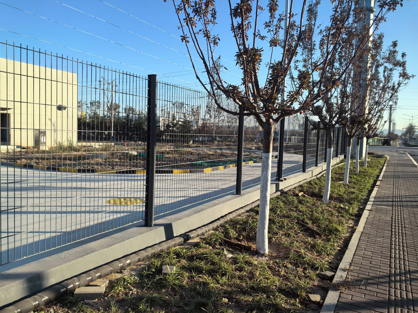 Double Wire Fence - Peach Shaped Post