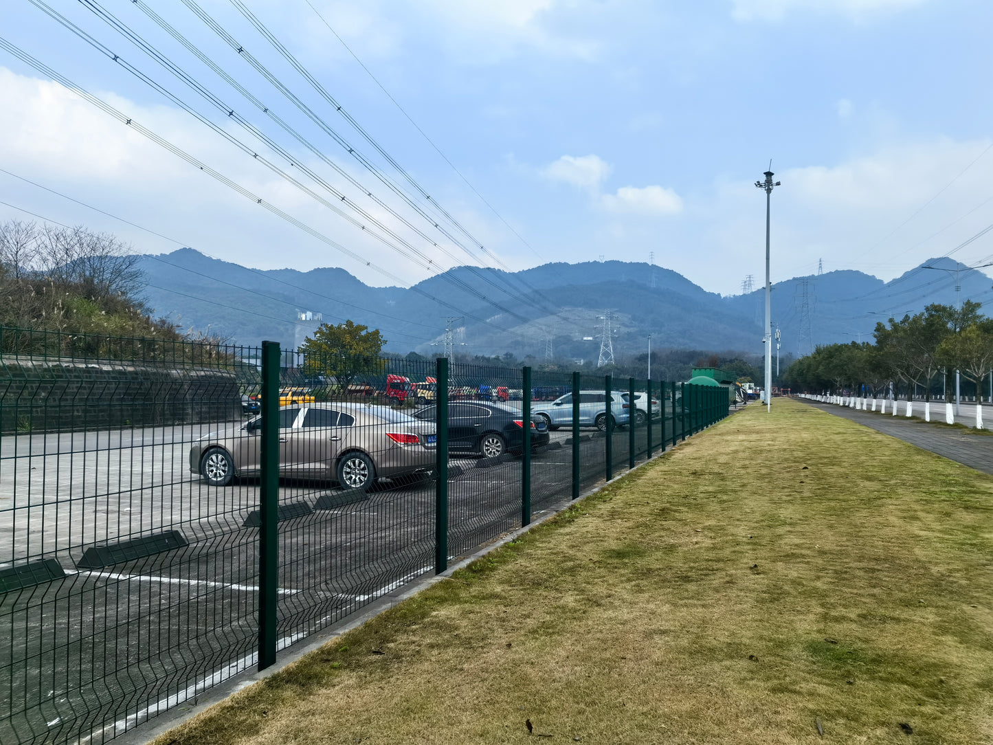 Single Wire Fence - Peach Shaped Post